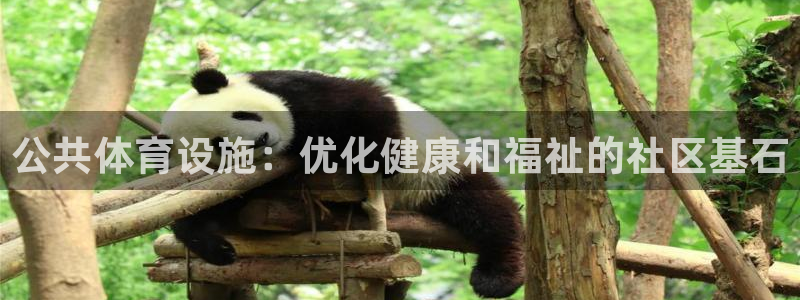 意昂体育3平台注册要钱吗是真的吗：公共体育设施：优化
