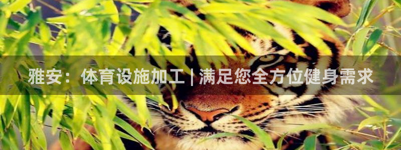 意昂3代理：雅安：体育设施加工 | 满足您全方位健身