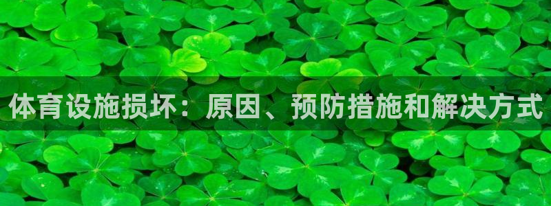 意昂3娱乐代理怎么样：体育设施损坏：原因、预防措施和
