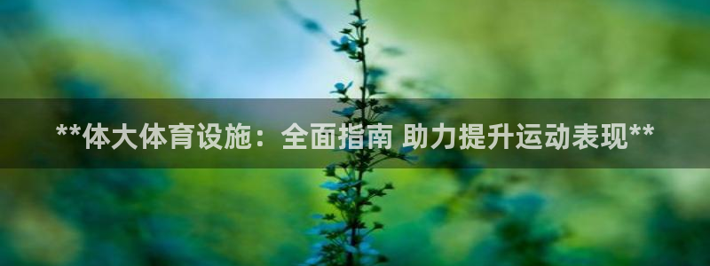 意昂3娱乐：**体大体育设施：全面指南 助力提升运动