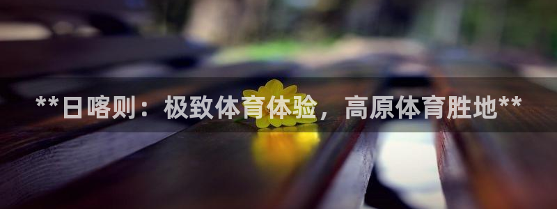 意昂3新能源：**日喀则：极致体育体验，高原体育胜地