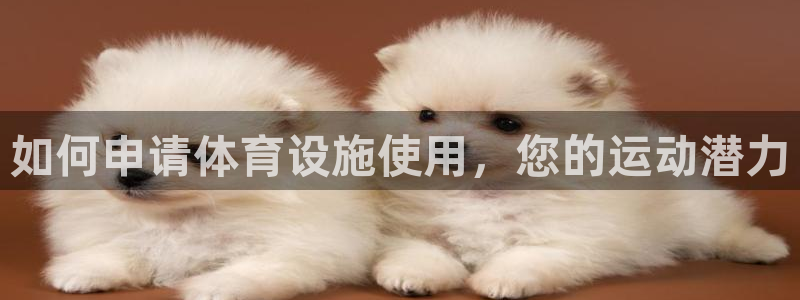 意昂体育3
