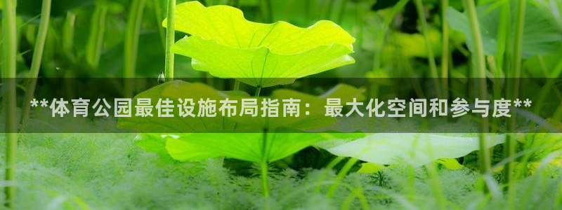 意昂3开户：**体育公园最佳设施布局指南：最大化空间