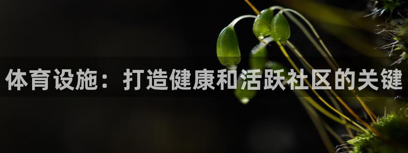 意昂3娱乐首页网站大全：体育设施：打造健康和活跃社区