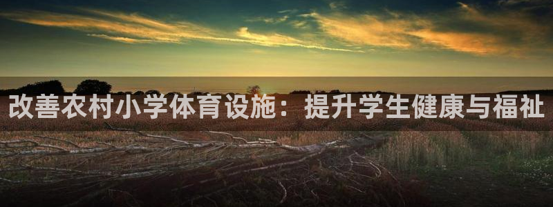 意昂体育3平台注册：改善农村小学体育设施：提升学生健