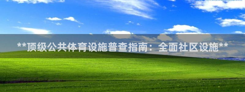 意昂3新能源：**顶级公共体育设施普查指南：全面社区