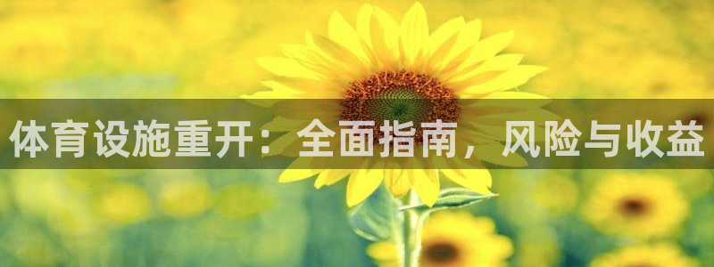 意昂体育3平台注册流程图：体育设施重开：全面指南，风