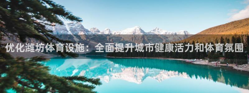 意昂体育3招商电话号码是多少：优化潍坊体育设施：全面