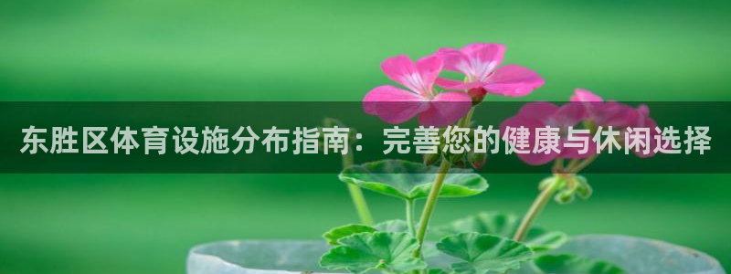 意昂体育3平台注册：东胜区体育设施分布指南：完善您的健康与休