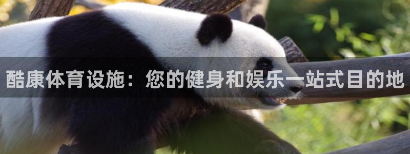 意昂集团官网