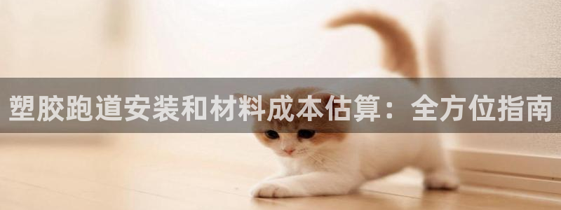 意昂体育3软件：塑胶跑道安装和材料成本估算：全方位指