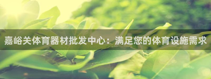 意昂3开户：嘉峪关体育器材批发中心：满足您的体育设施