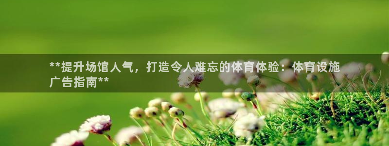 意昂体育3开户：**提升场馆人气，打造令人难忘的体育体验：体