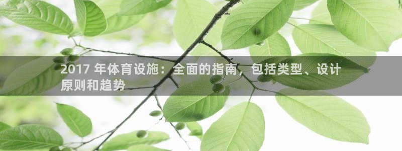 意昂3开户：2017 年体育设施：全面的指南，包括类型、设计