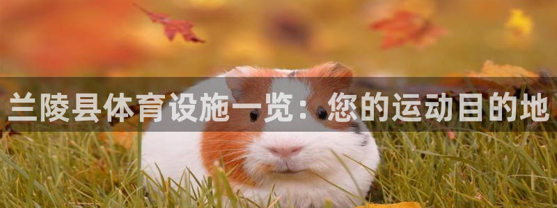 意昂体育3开户：兰陵县体育设施一览：您的运动目的地