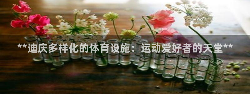 意昂平台体育：**迪庆多样化的体育设施：运动爱好者的天堂**