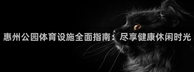 意昂3集团官网首页网址：惠州公园体育设施全面指南：尽享健康休