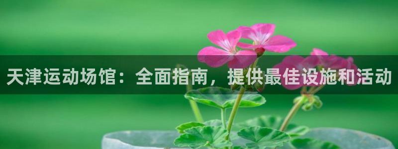 意昂体育3是干嘛的公司：天津运动场馆：全面指南，提供最佳设施