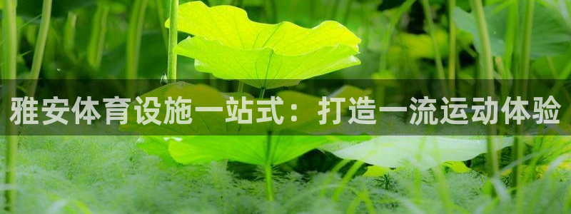 意昂体育3平台注册流程图：雅安体育设施一站式：打造一流运动体