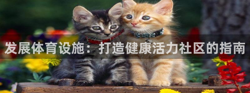 意昂3娱乐代理怎么样：发展体育设施：打造健康活力社区的指南